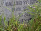 image of grave number 788704